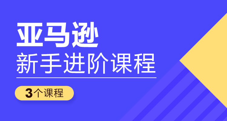 亚马逊新手进阶课(3个课程)