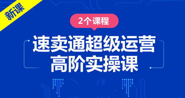 速卖通超级运营高阶实操课(2个课程)