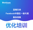 Facebook优化培训,一手资料+实操授课