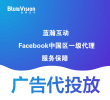 一对一:专业的海外广告代投放服务