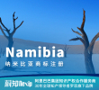 纳米比亚商标注册申请