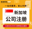 新加坡公司注册