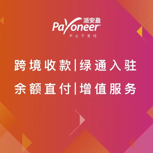 payoneer派安盈 创新型跨境支付数字平台