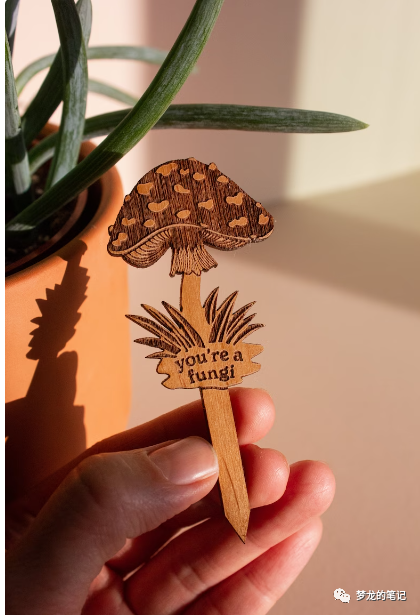 Etsy一款强大的ChatGPT插件