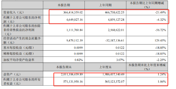 孙才金的跨境梦:摆烂泽宝,另起炉灶