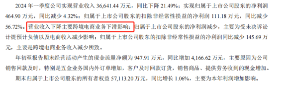 孙才金的跨境梦:摆烂泽宝,另起炉灶