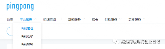 allegro店铺如何设置pingpong收款