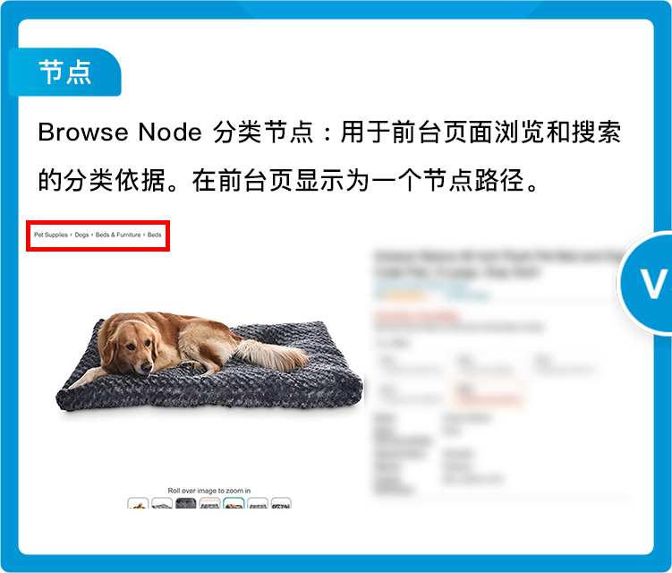 分类节点被更改,销售排名也消失了,稳住流量务必了解亚马逊Listing规则