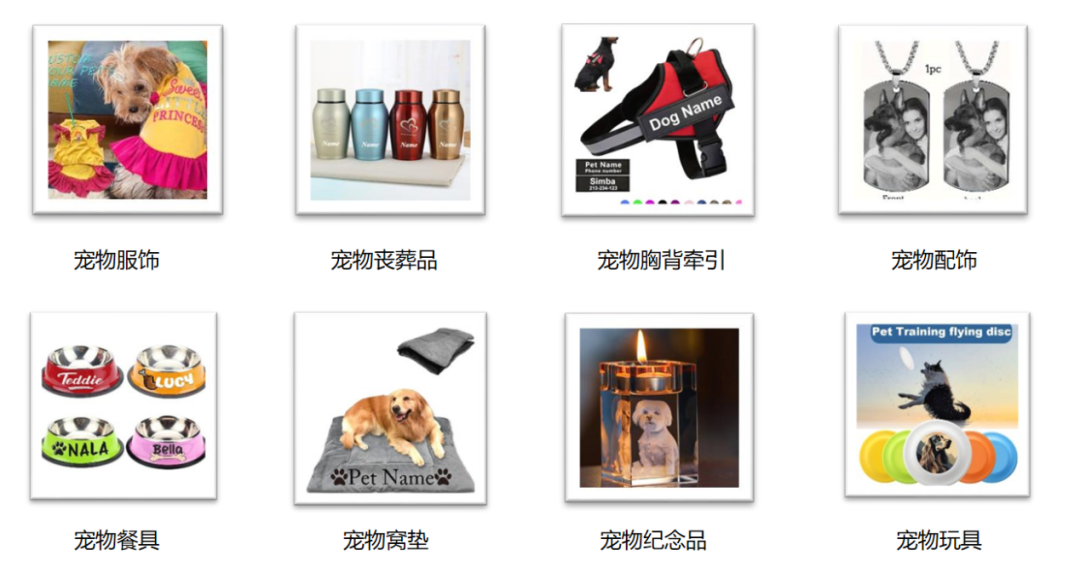 商家狂赚“情感税”，宠物出海还有冷门赛道？