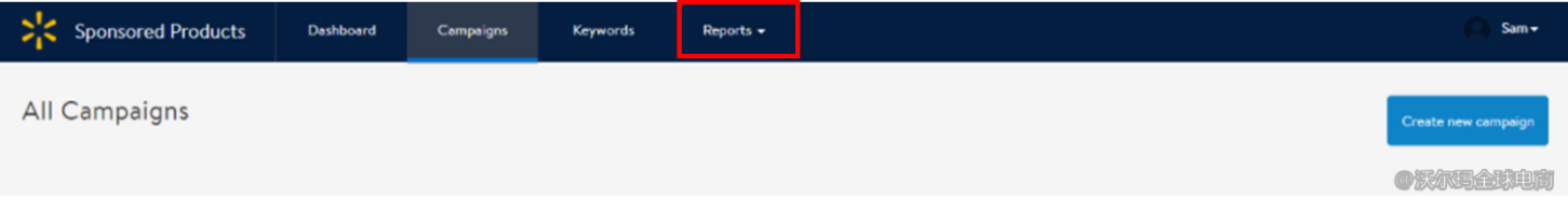 站内广告报告分析：Custom Report