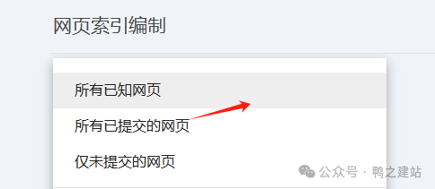 谷歌收录：从入门到精通，解决所有网站收录难题
