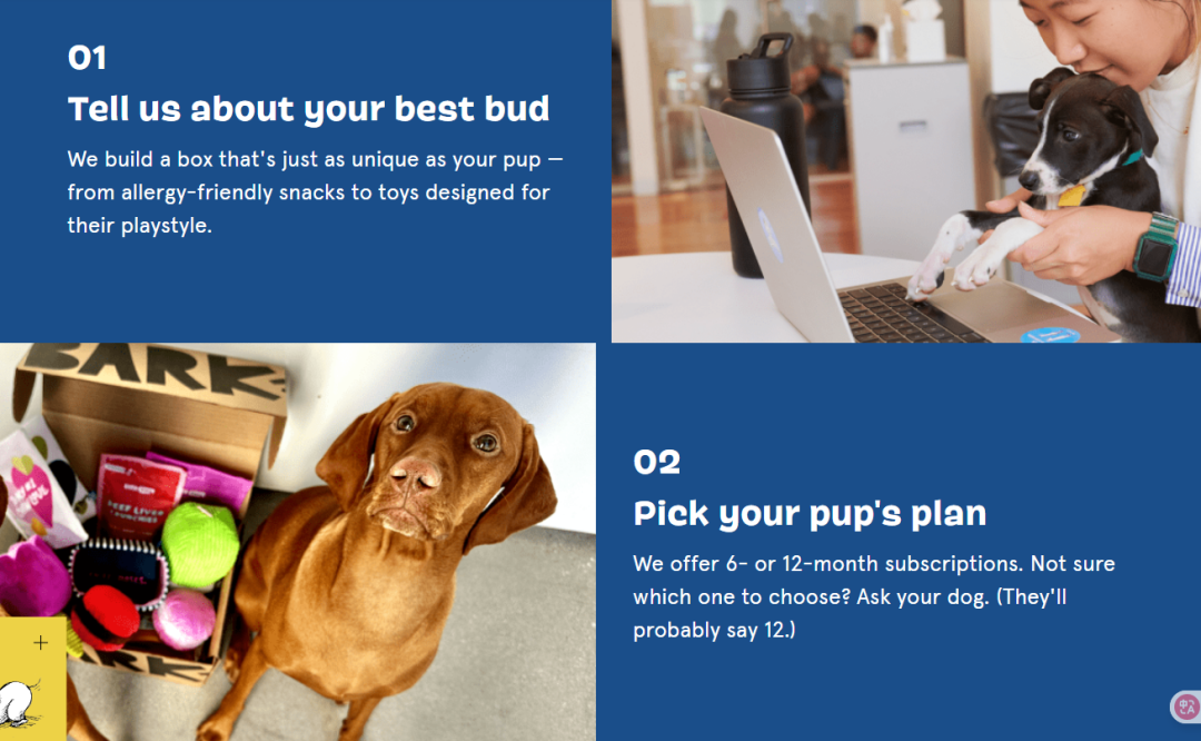 靠 “宠物盲盒” ，年入5亿美金，毛利62%的独立站如何做到的？