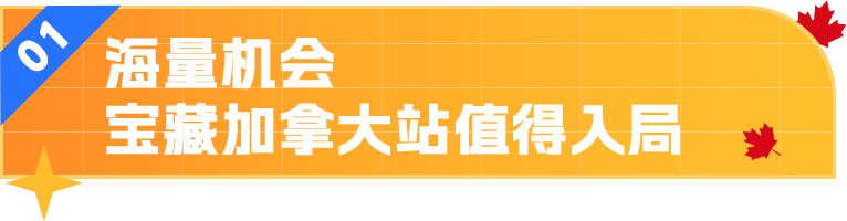 小竞争大利润，入驻还简单！亚马逊宝藏站点加拿大藏不住了