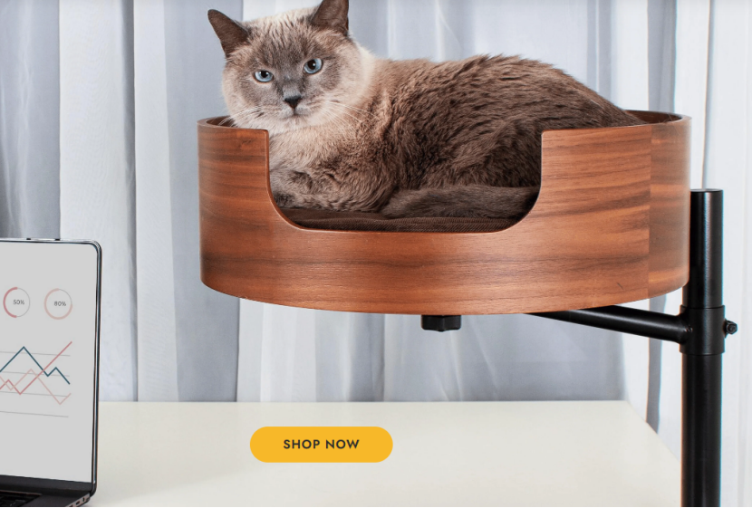 这些店铺因侵权被告，涉及亚马逊、Shein、Temu等平台