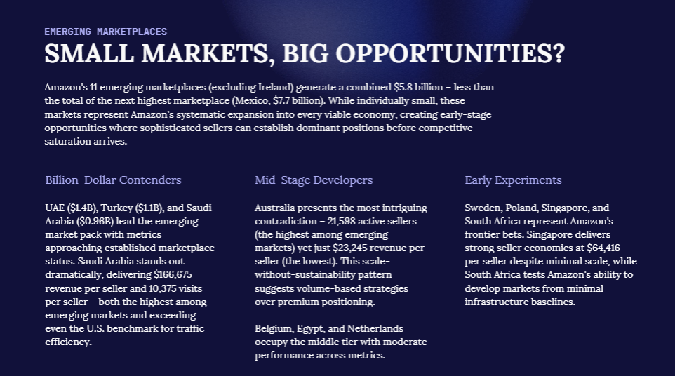 亚马逊2026生态巨变：格局洗牌，出路何在？