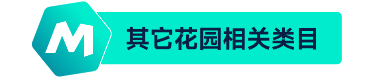 ManoMano戶外花園篇:不容錯(cuò)過的平臺(tái)主打優(yōu)勢(shì)類目