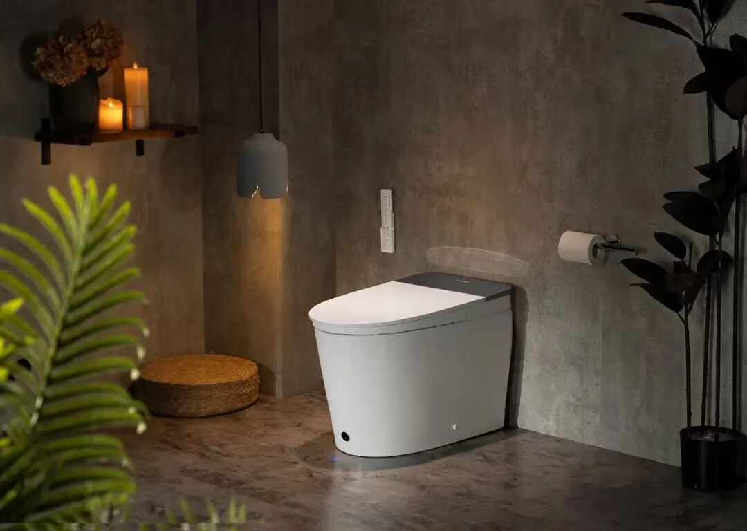 十年蛰伏，一朝出圈！且看中国智能马桶如何征服亚马逊北美站