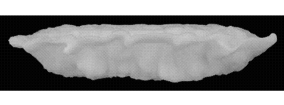 保卫饺子！韩国申请饺子专利，跨境卖家真正该警惕的是什么？