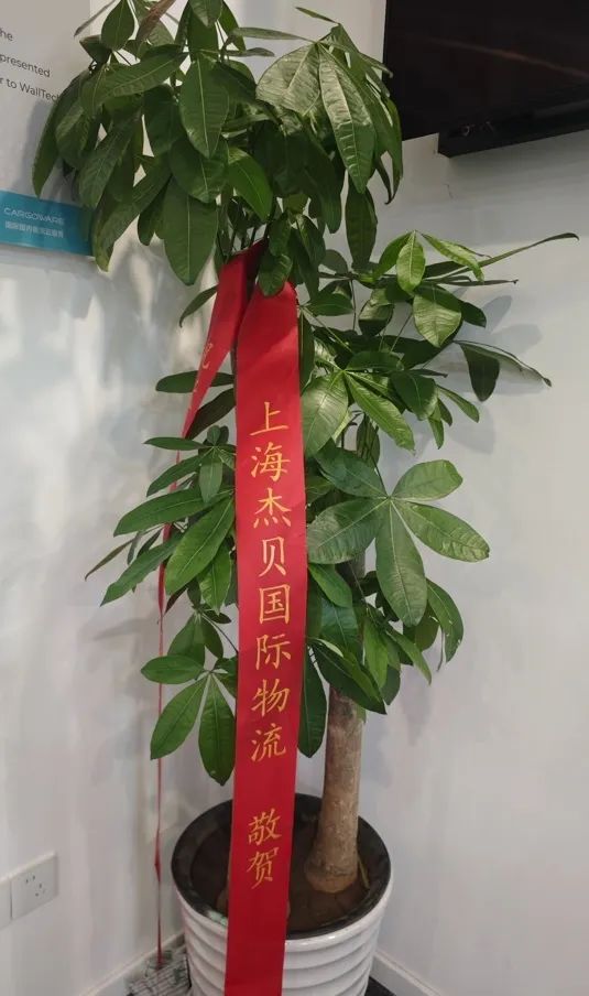 WallTech总部乔迁新址,开启未来新篇章