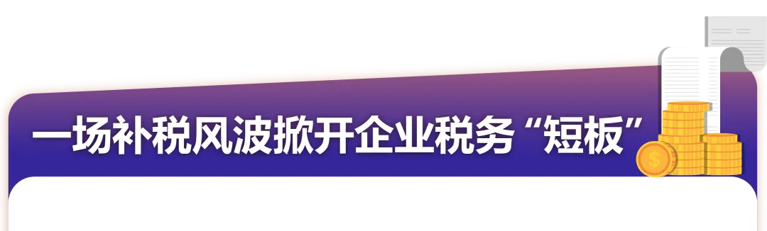 90后卖家亲历的德国税务危机，14天逆转6.3万税罚到4800！