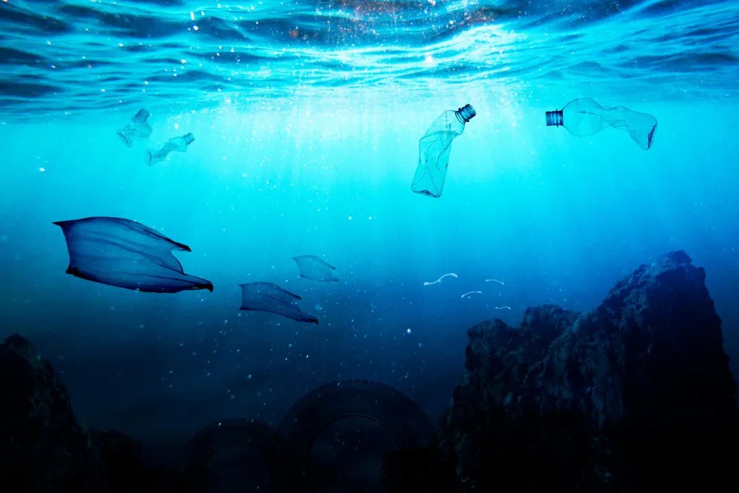 跨境百企将组“骑士团”,共绘东海“骑”迹