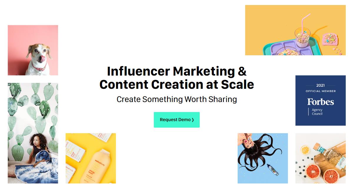 萌宠带货出海？海外网红营销？通过Payoneer派安盈生态圈合作超简单