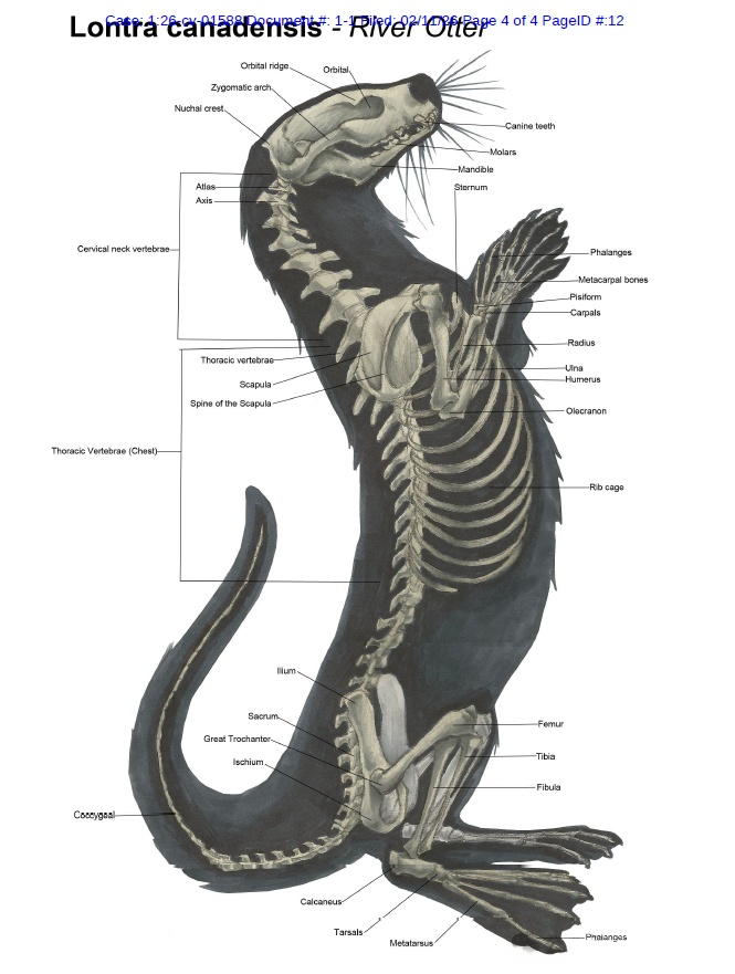 开工后务必自查！牛、马、鸡、花卉等图案遭严打，1033家店铺被封禁！