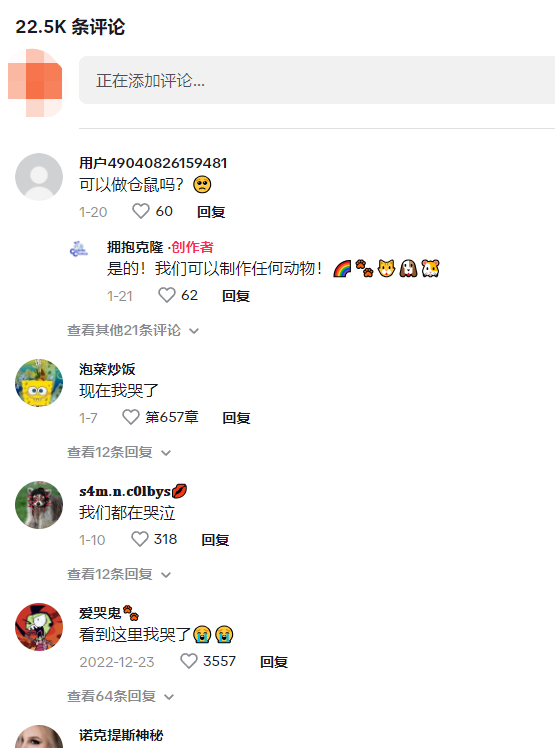 年销2000万美元！一个满足思念爱宠的独立站