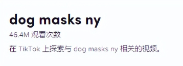 宠物口罩热度飙升！亚马逊和Temu已开卖