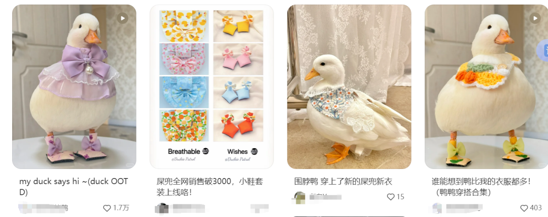 日销千单！国人做的产品登上BSR榜TOP1