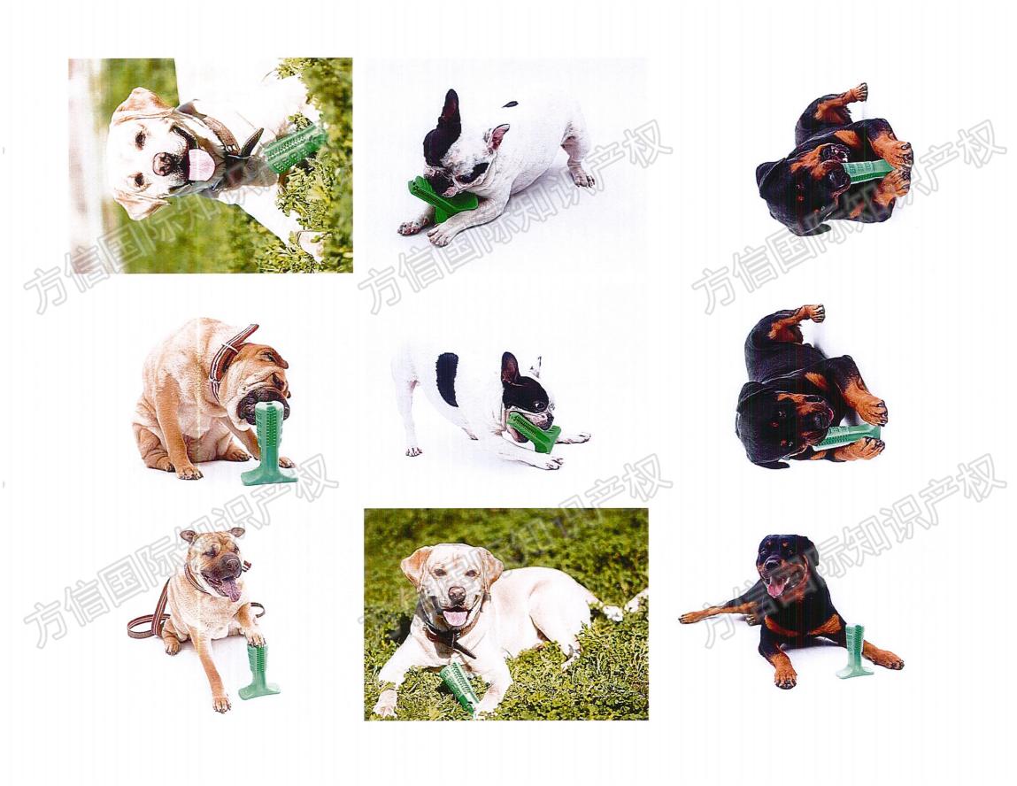 商标专利版权全方位维权！119个卖家中招，Bristly 宠物咀嚼玩具危险！