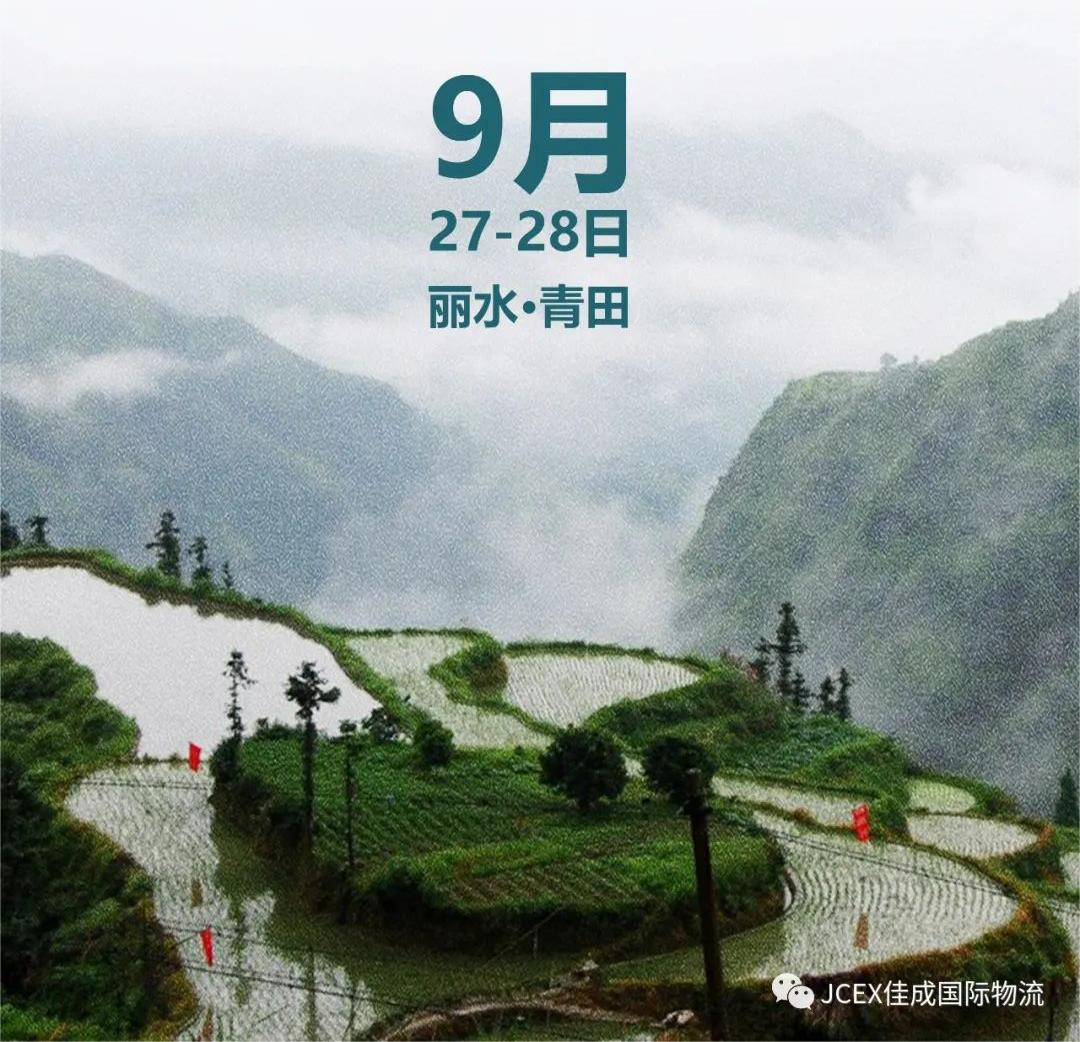 助力侨乡丨扬帆出海，JCEX佳成国际物流带你走进青田！