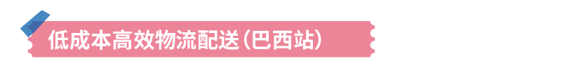 拉丁美洲市场新机遇：亚马逊洞察报告详解，揭示行业密码！