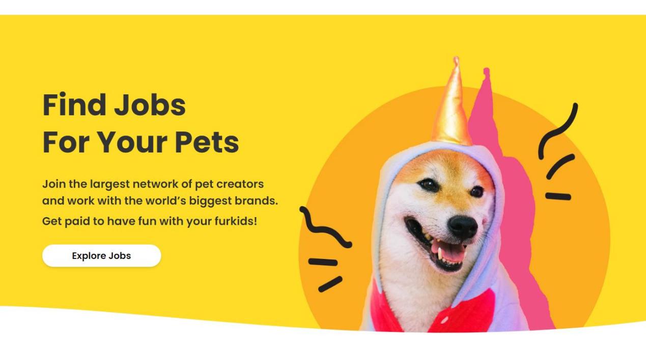 萌宠带货出海？海外网红营销？通过Payoneer派安盈生态圈合作超简单