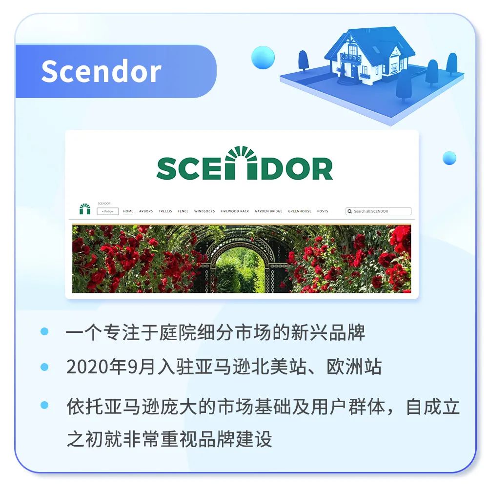 品牌分析数据全可下载啦！运营能看懂这些亚马逊报告吗？4个实战案例吃透报告