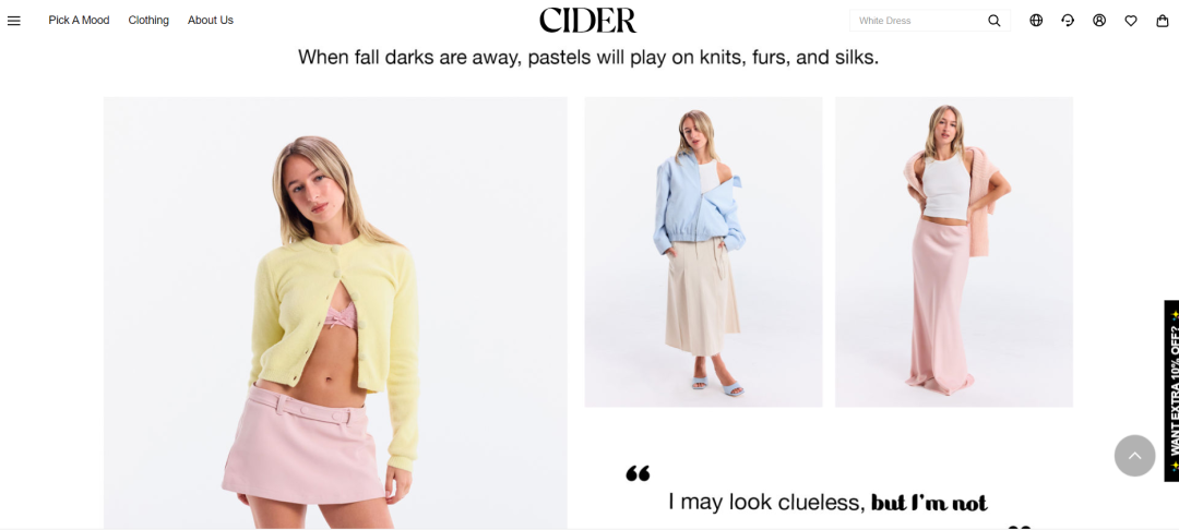 广东小伙王琛与他的Cider出海奇迹