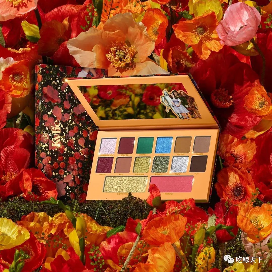 坐拥TikTok300万粉丝，美妆品牌Kylie Cosmetics如何营销疯狂吸金？