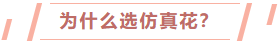 日销千单的仿真花，在亚马逊上开出一条产业路