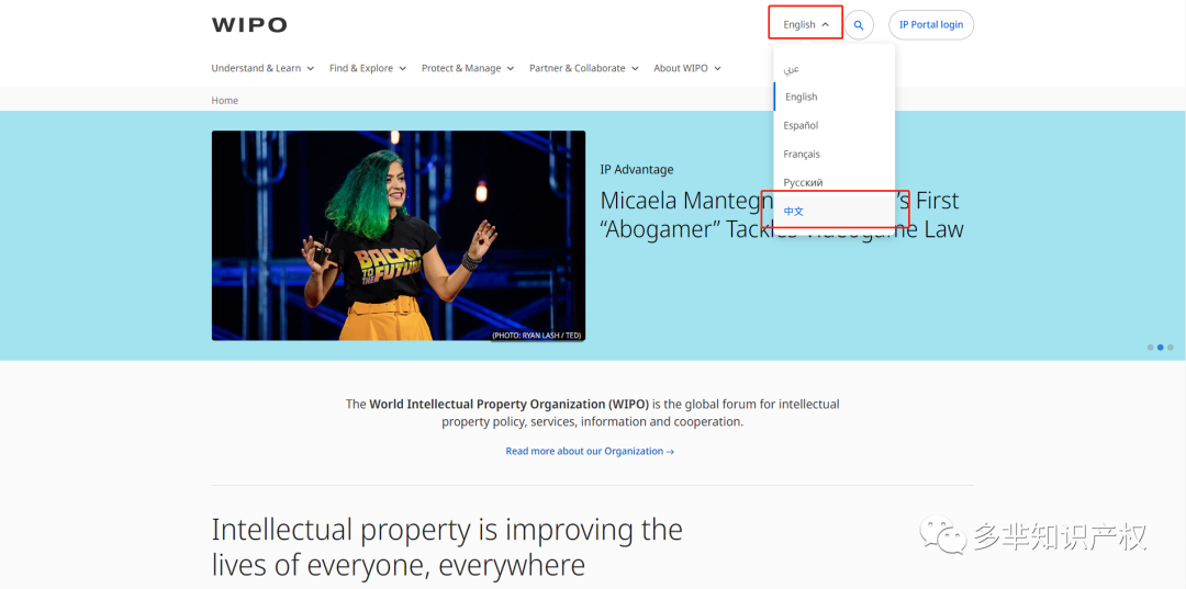 国货品牌出海之路的基础——商标，花西子在全球范围内注册商标超50+！