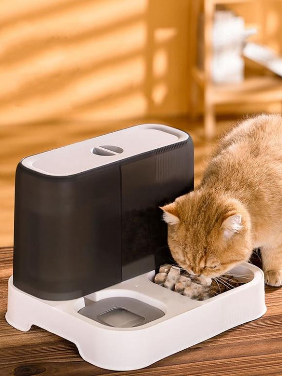 SHEIN官方|下半年哪些品类将迎爆发？如何抓住这波红利，让下半年业务飞涨！