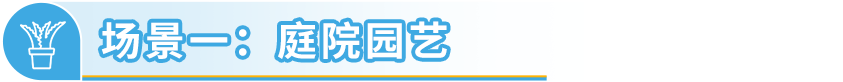 常被忽略却在亚马逊海外异常火爆！这个“冷门”品类商机藏不住了！