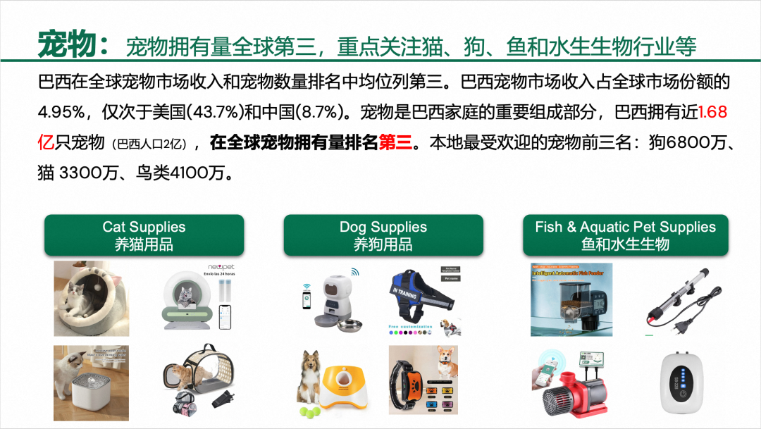 拉美商家請注意：這些家居爆品上架就搶空！