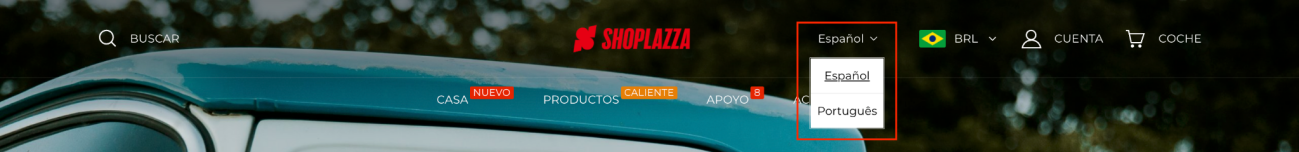 店匠一站式出海解决方案助力掘金拉美！