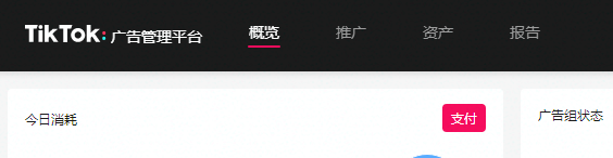 【TikTok】TikTok广告账户分配添加成员？广告管理平台如何进入？