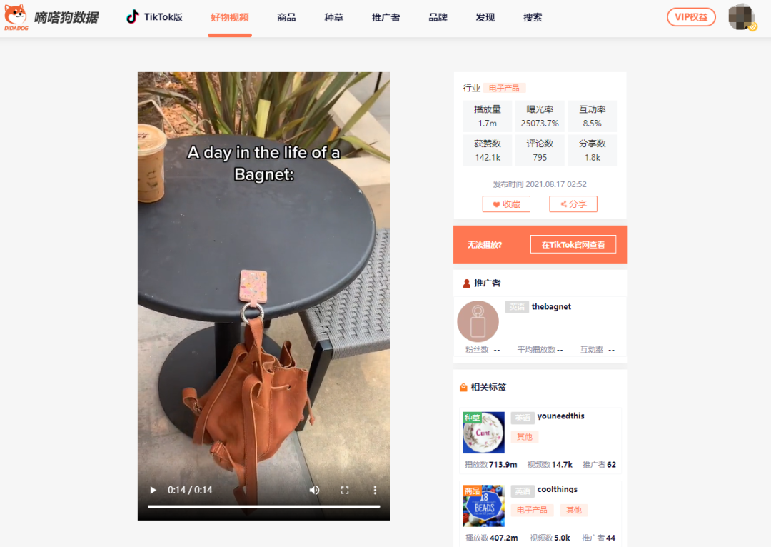迎来流量高峰！最新TikTok爆款“磁性包钩”，小痛点也蕴藏大商机