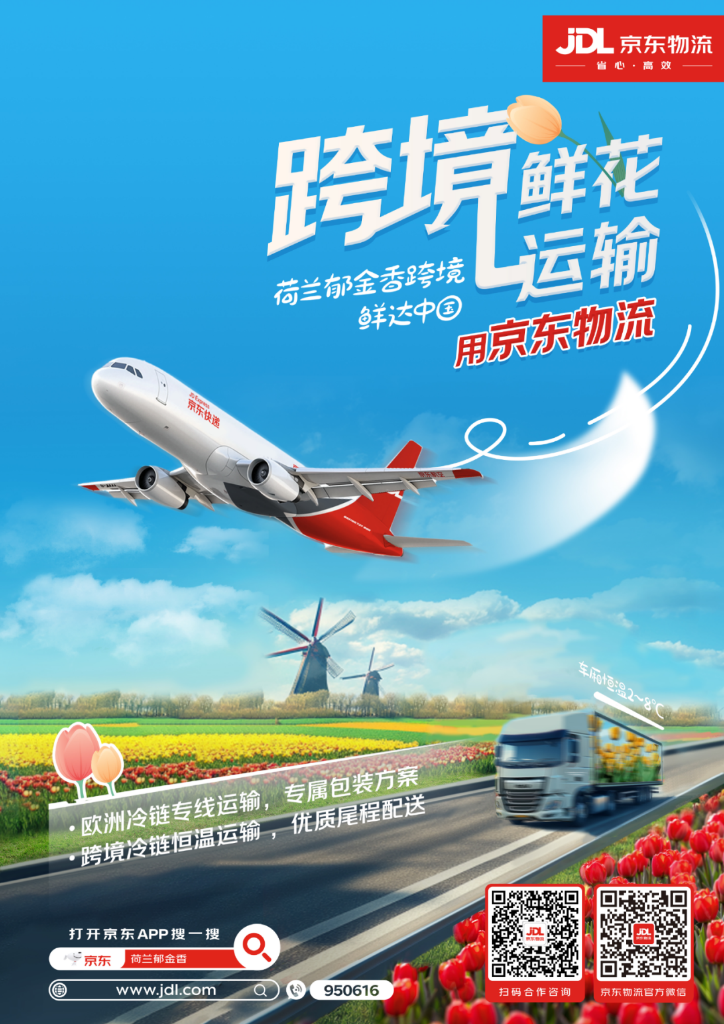 全程控溫2-8度，京東物流承運(yùn)荷蘭郁金香一路鮮美、“閃”到中國