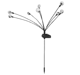 警惕！这20款热销产品已有专利，同款要慎卖！