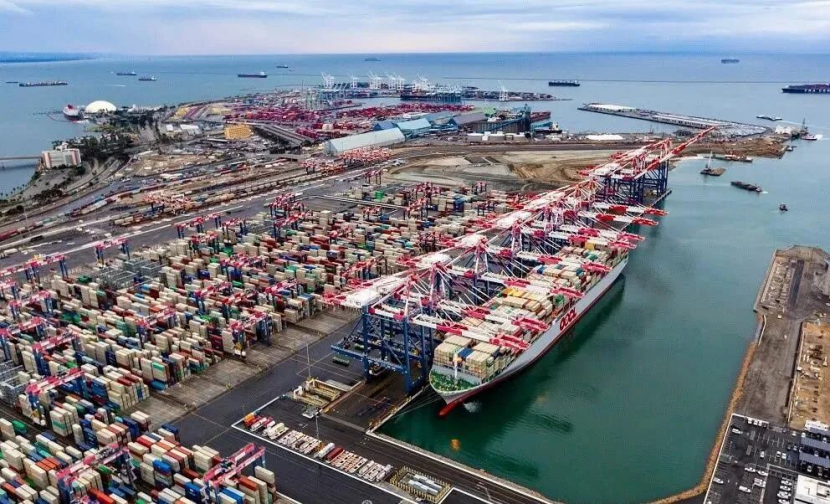 库容、爆仓、查验、坠海——旺季四连击，跨境卖家如何自救？