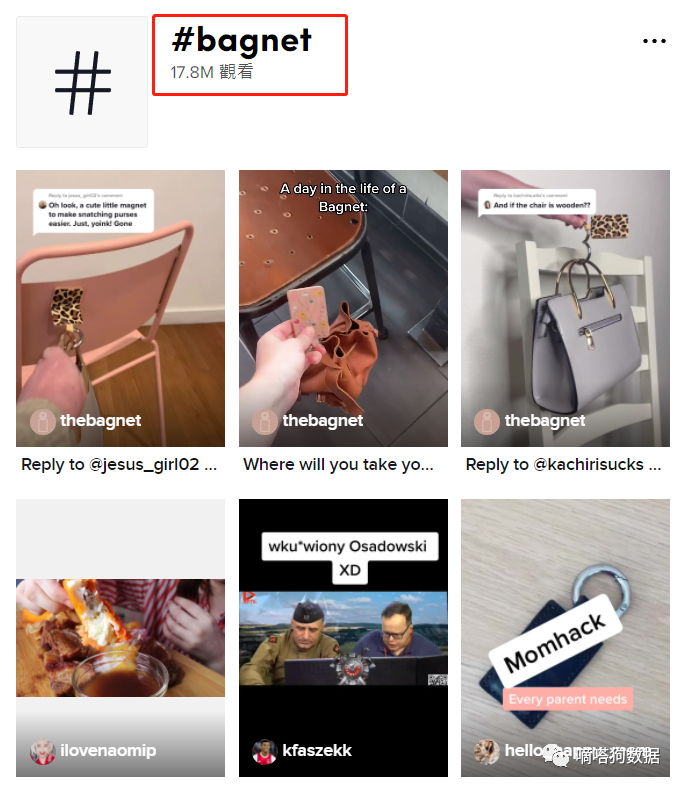 迎来流量高峰！最新TikTok爆款“磁性包钩”，小痛点也蕴藏大商机