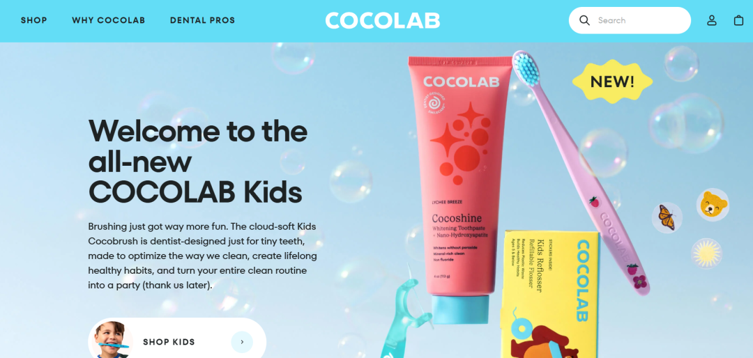 2026年值得卖家学习的8家shopify店铺